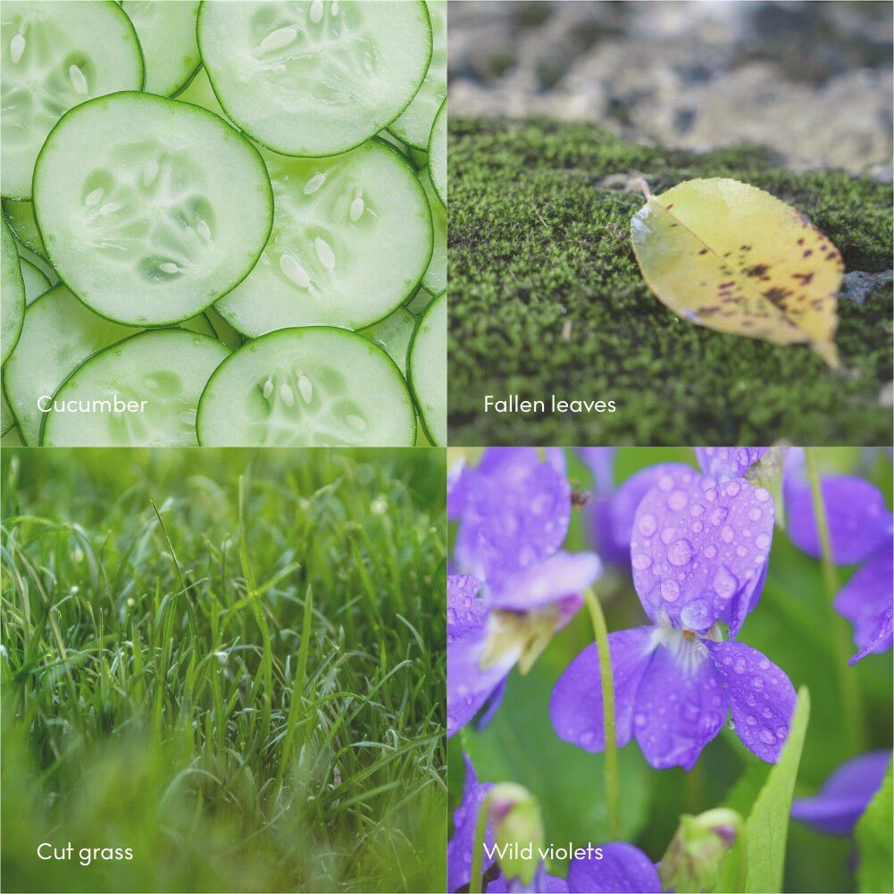 RO Scented Candle w Lid 65g