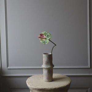 Anthurium Flower