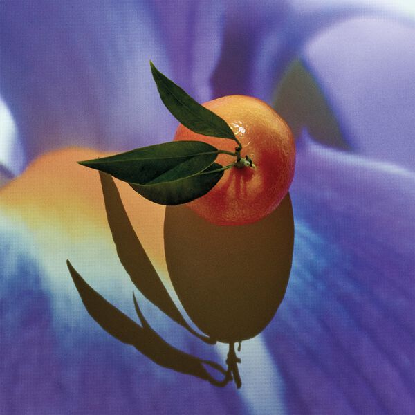 LOEWE Solo Elixir EDP 100 ml