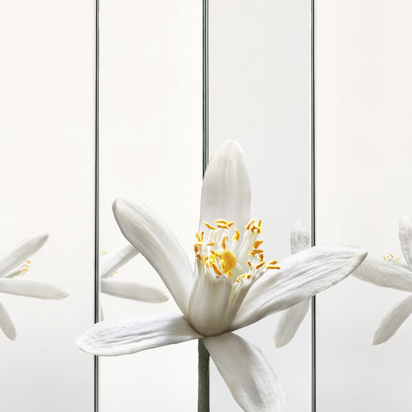 Yves Saint Laurent MYSLF Eau de Parfum