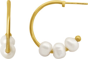 Emily Hoop Small