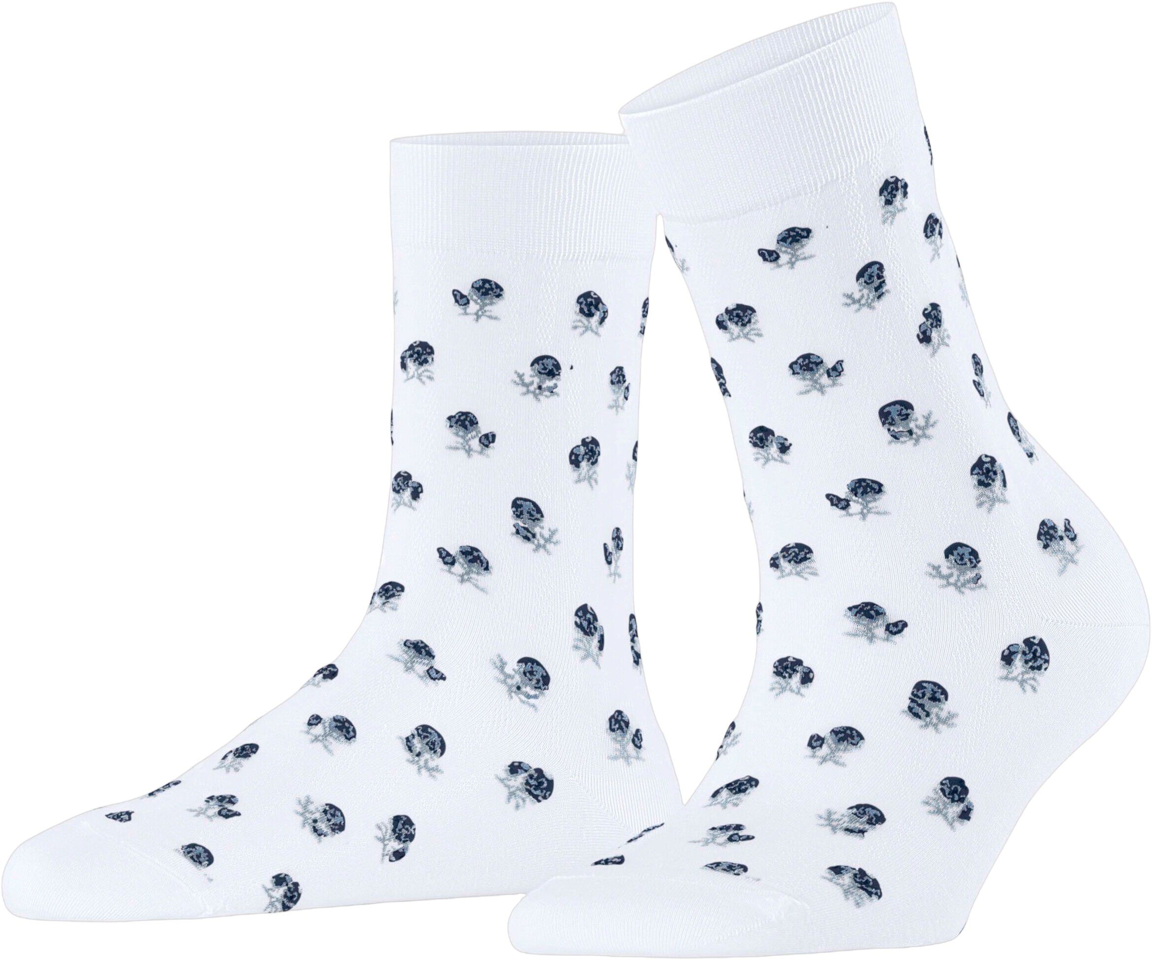 FALKE Cotton T SO Special Edition