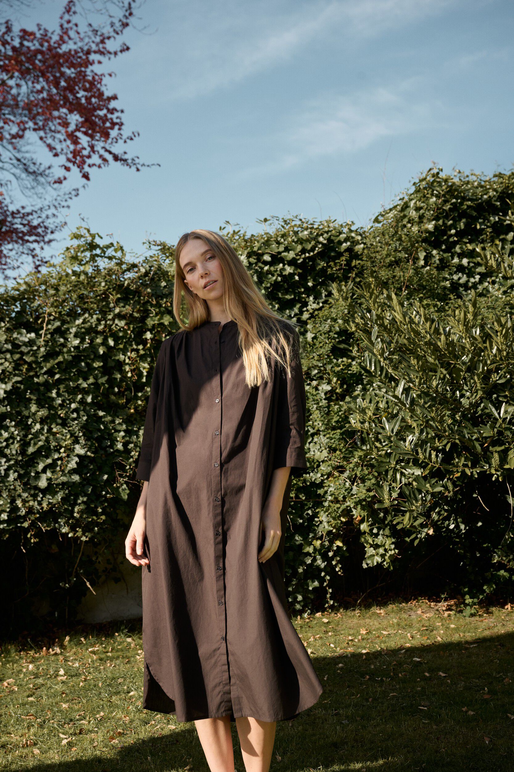 laurella shirtdress poplin