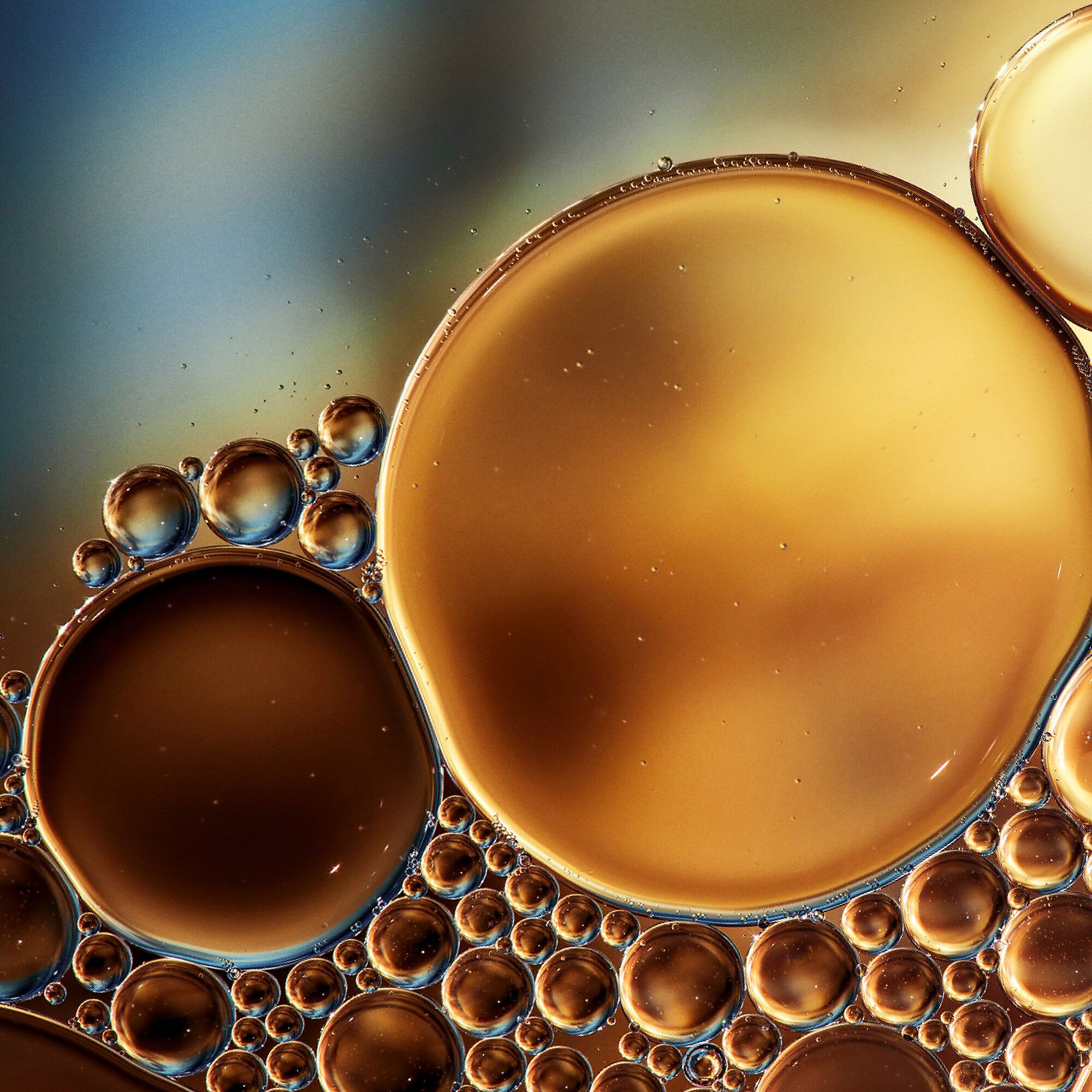 The Essential Tonic Facial Toner