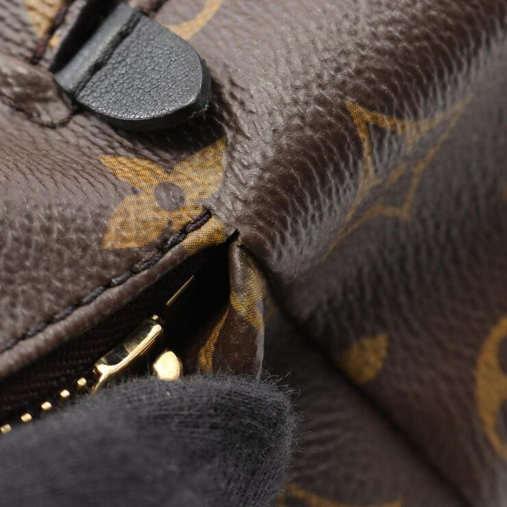 Louis Vuitton Backpack