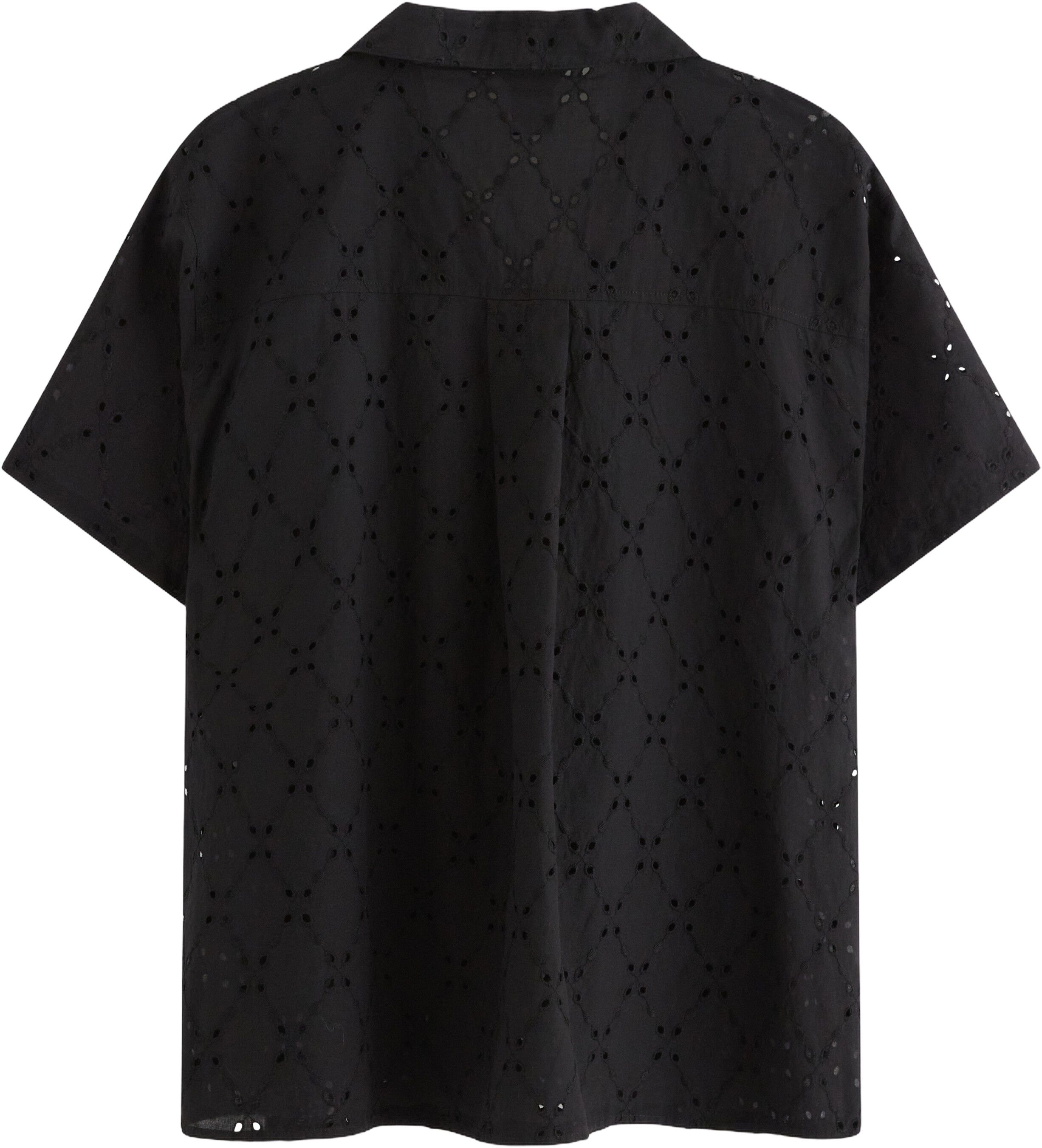 Shirt Francy