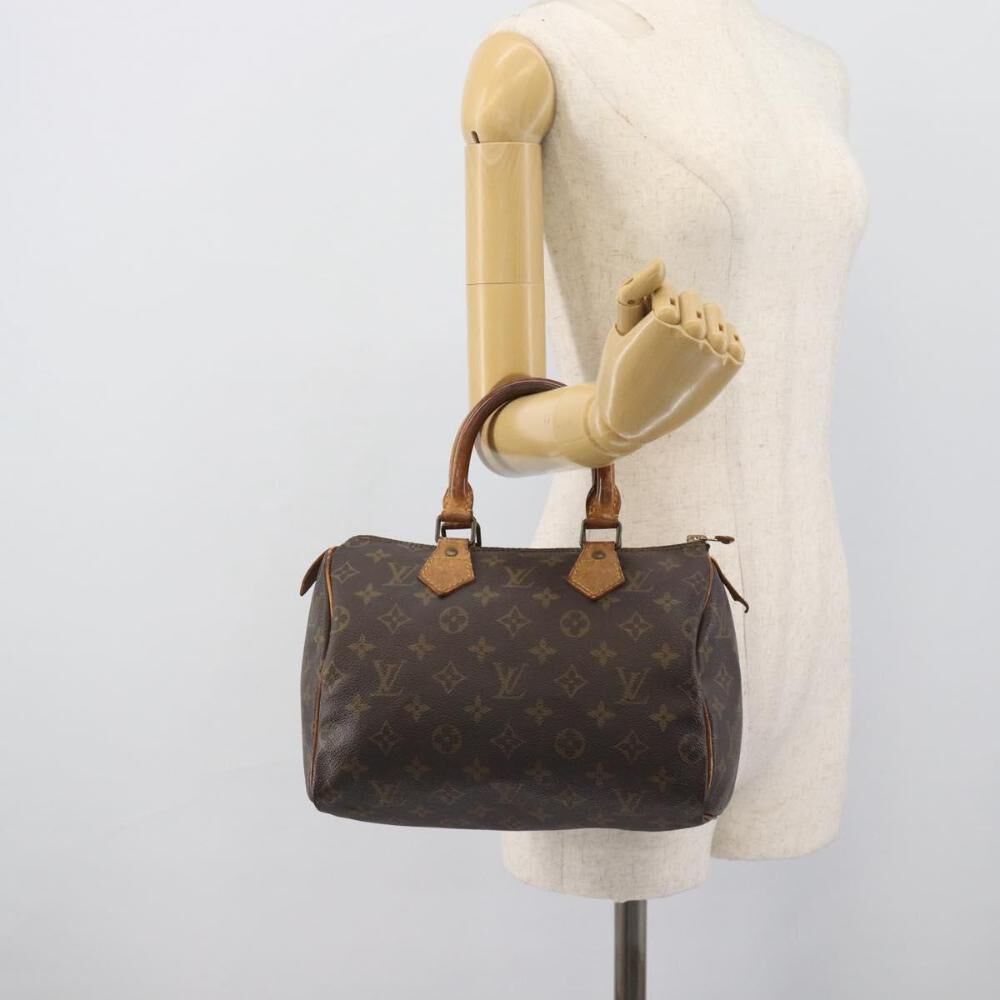 Louis Vuitton Speedy