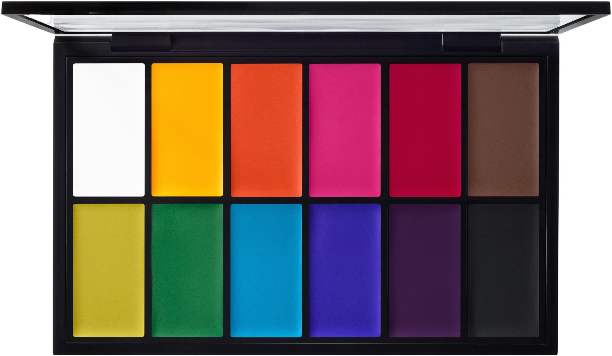 Painstick X 12 Palette