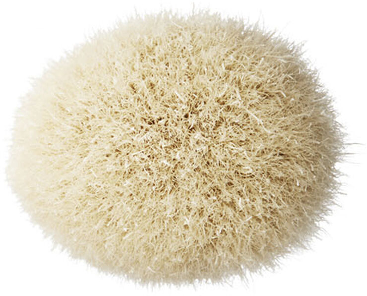 Brushes - 168S Large Angled Contour