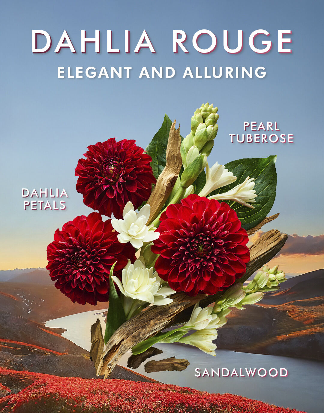 Moroccanoil Shower Gel Dahlia Rouge 250 ml.