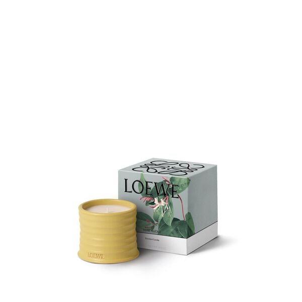 LOEWE Honey Small Candle