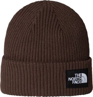 SALTY LINED BEANIE SMOKEY BROWN