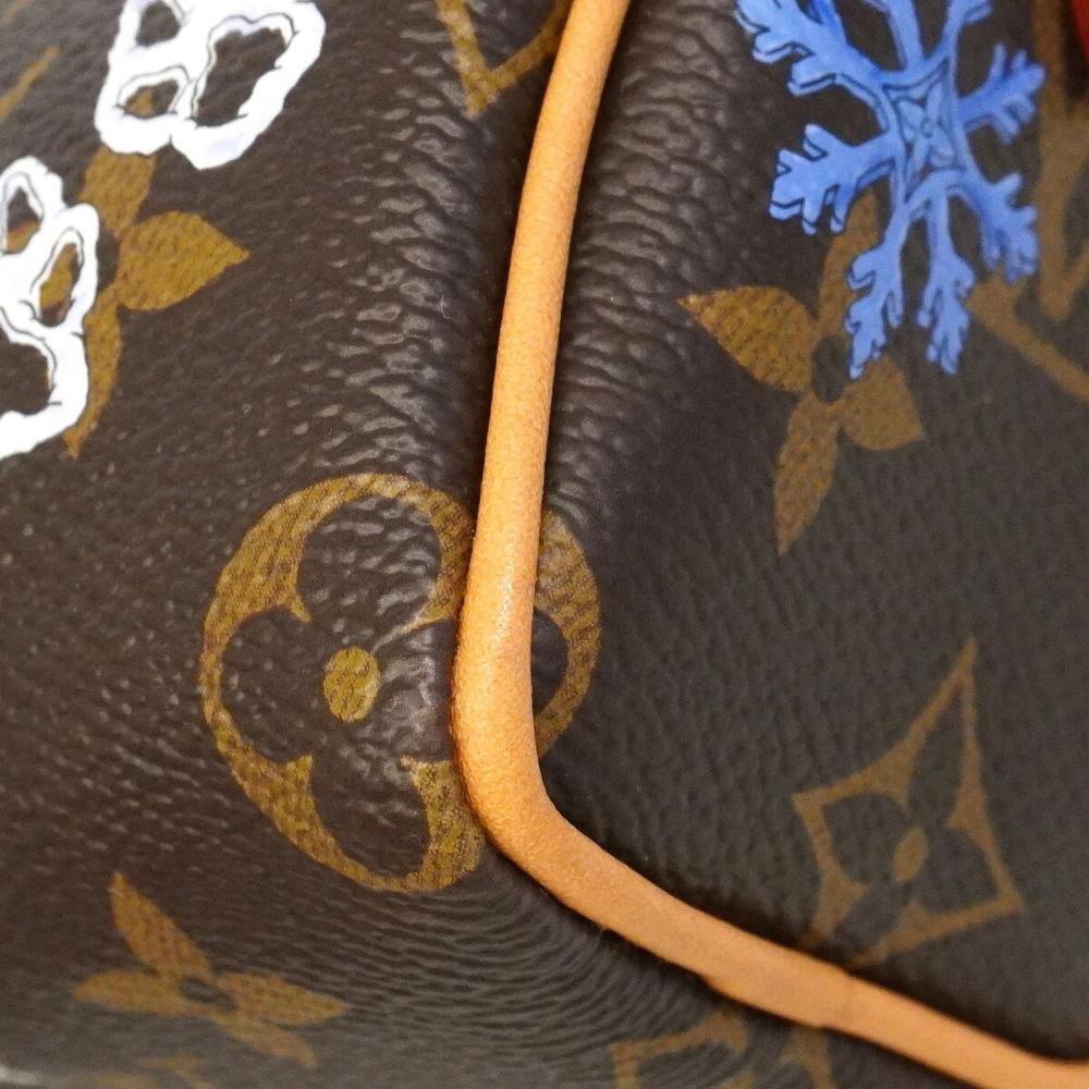 Louis Vuitton Speedy