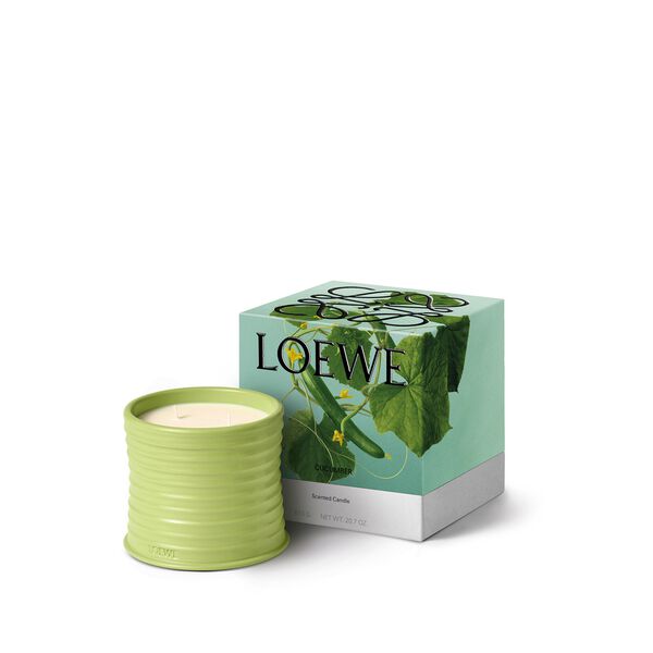 LOEWE Cucumber Medium Candle
