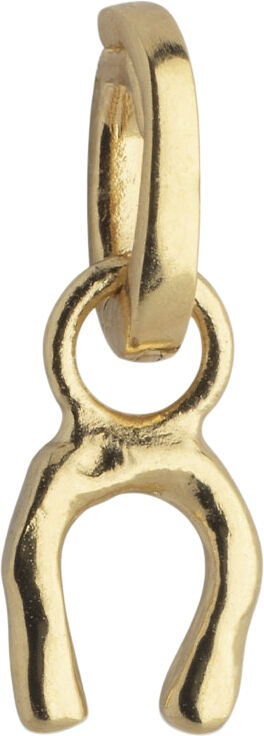 Charm, Lucky Horseshoe