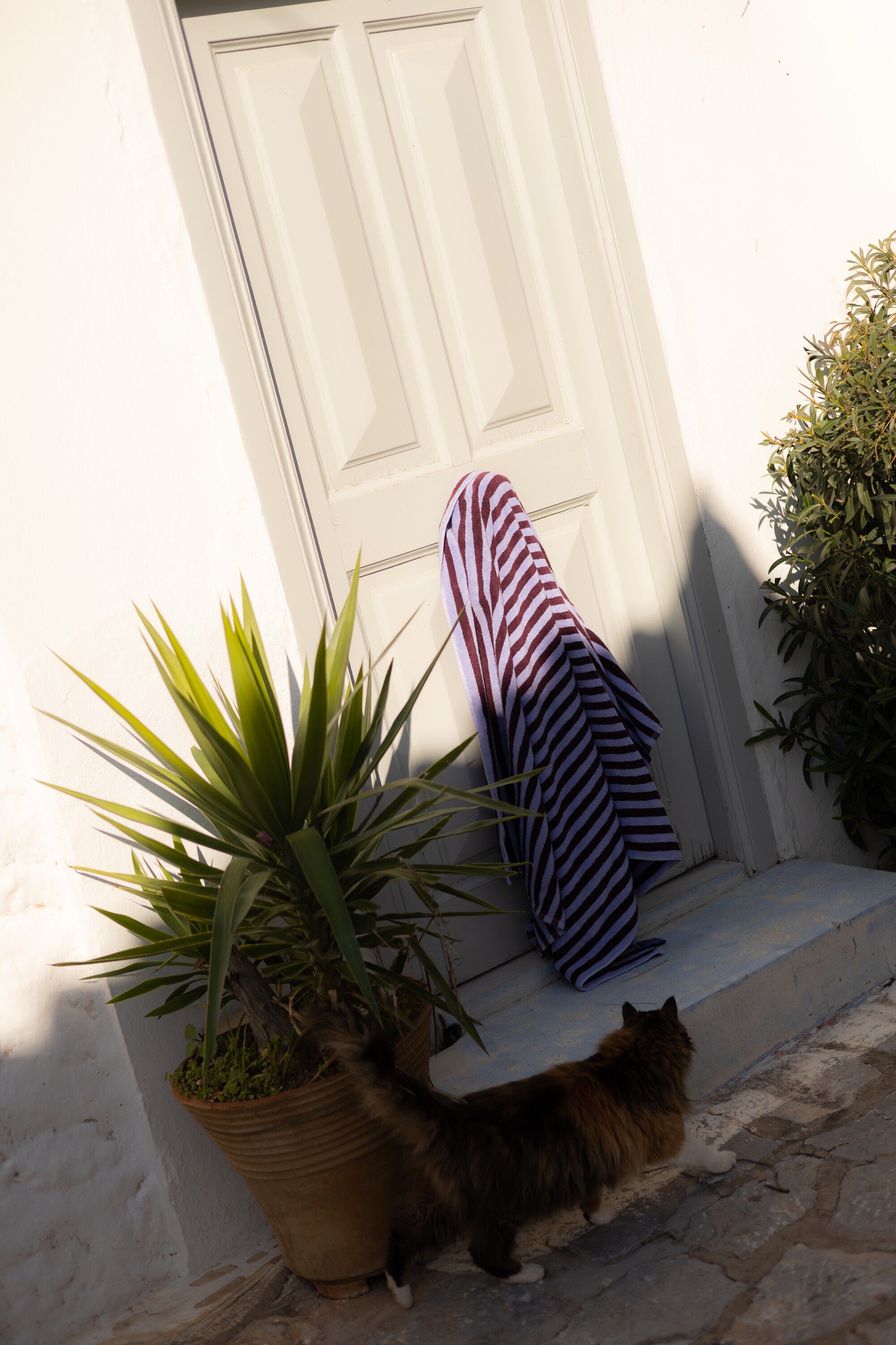 Naram Wine & lavender blue