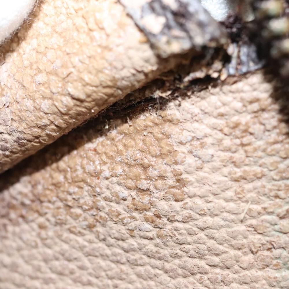 Louis Vuitton Poche Toilette