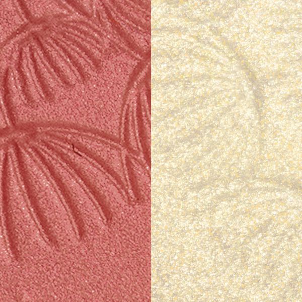 Blush And Highlighter Duo