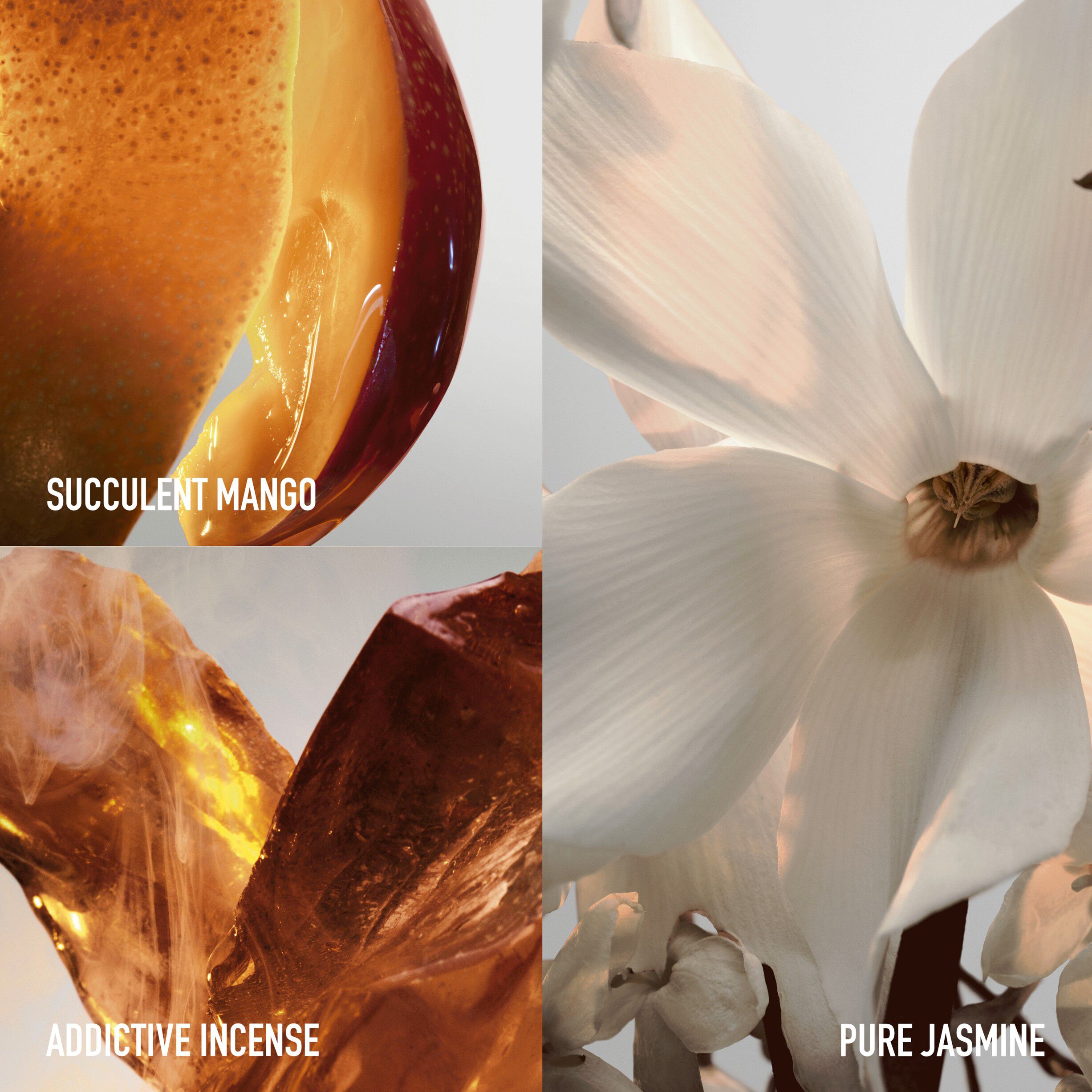 Fame Feline collector 80 ml