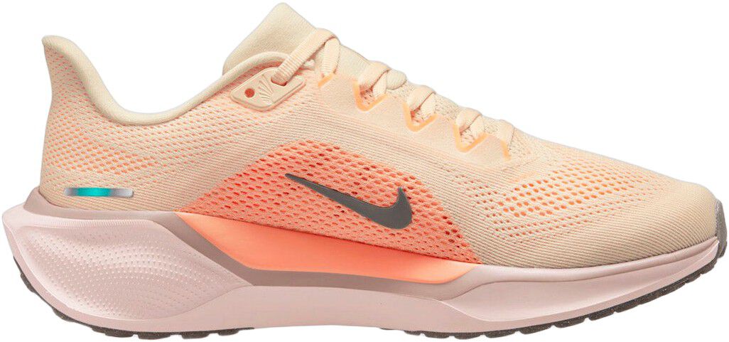 Pegasus 41 L&oslash;besko