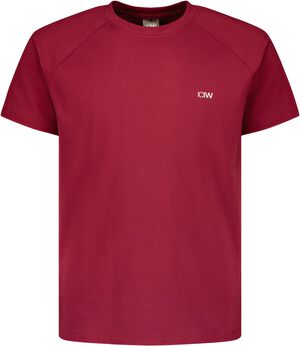 Workout Raglan Tr&aelig;nings T-shirt