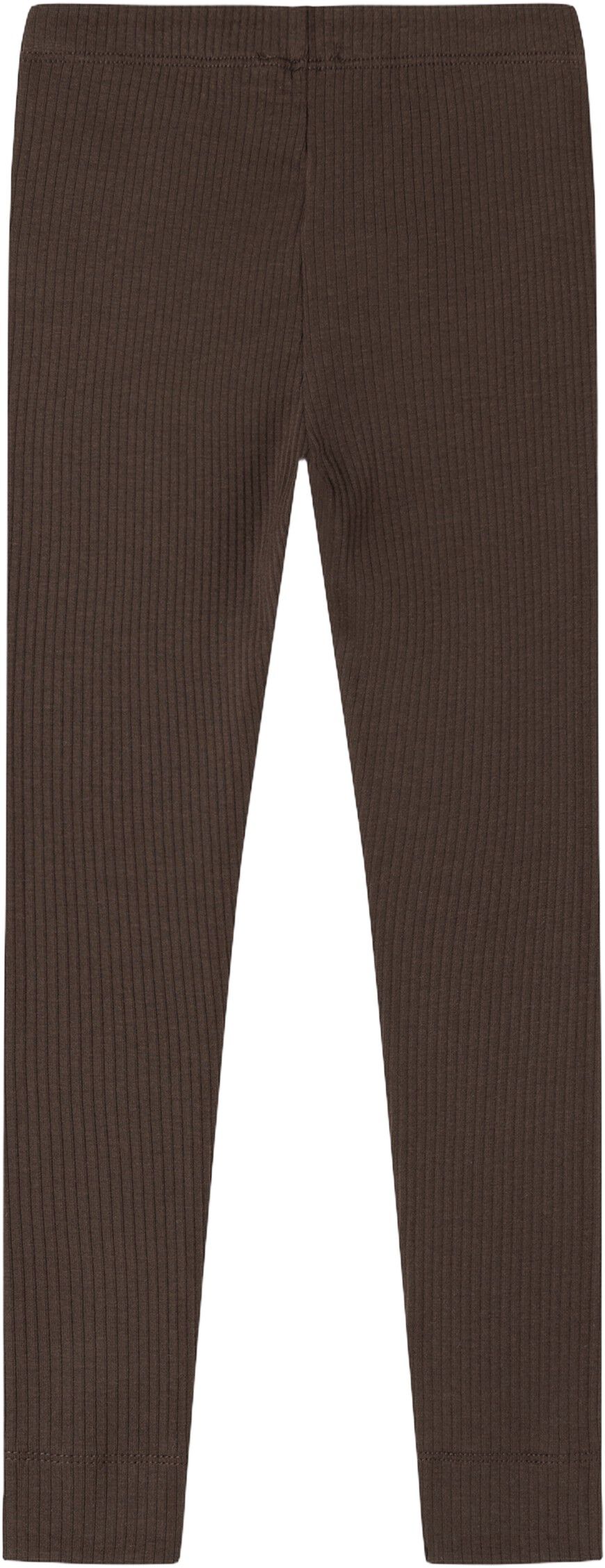 Leg