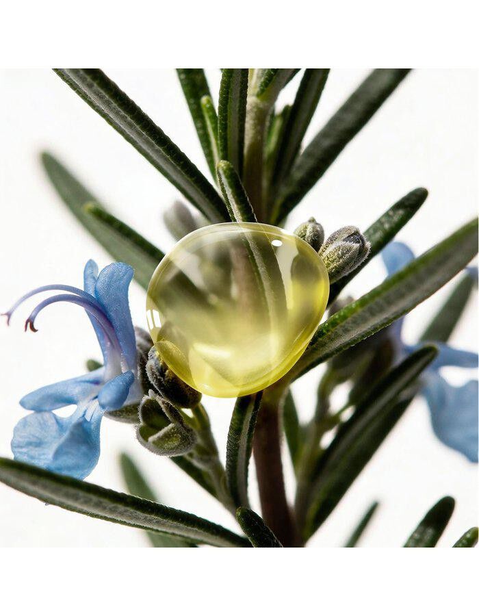 Aromessence Rosemary Officinalis Bottle Dropper 15 ml