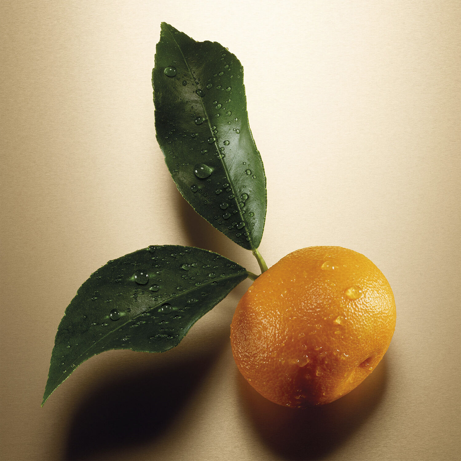 Pour Femme Eau de parfum natural spray 30. 0 ML