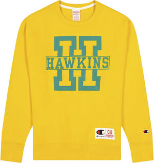 Champion X Stanger Things Hawkings sweatshirt