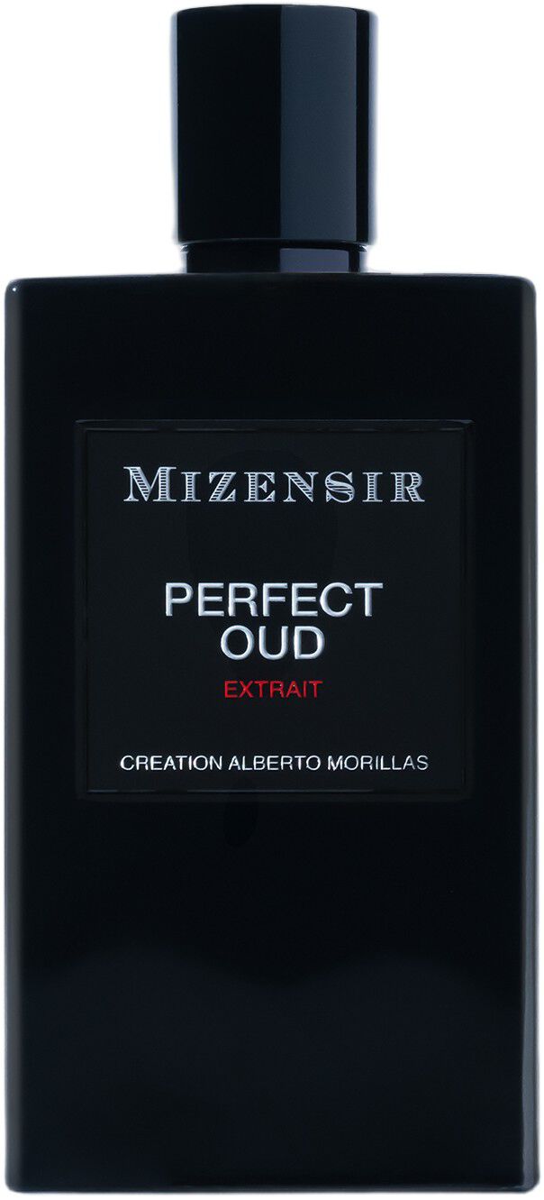 PERFECT OUD EXTRAIT 100ML EDP SPRAY
