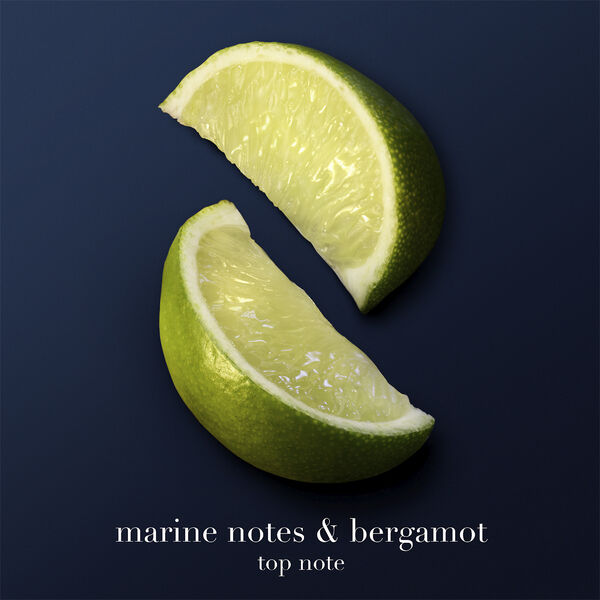 Armani Acqua di Giò Profondo Parfum