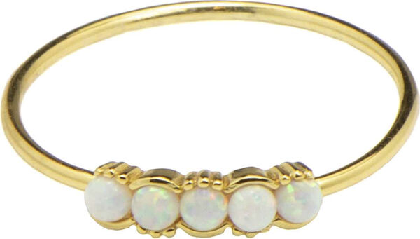 Daria rings