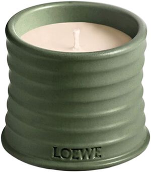 LOEWE S Marihuana Candle