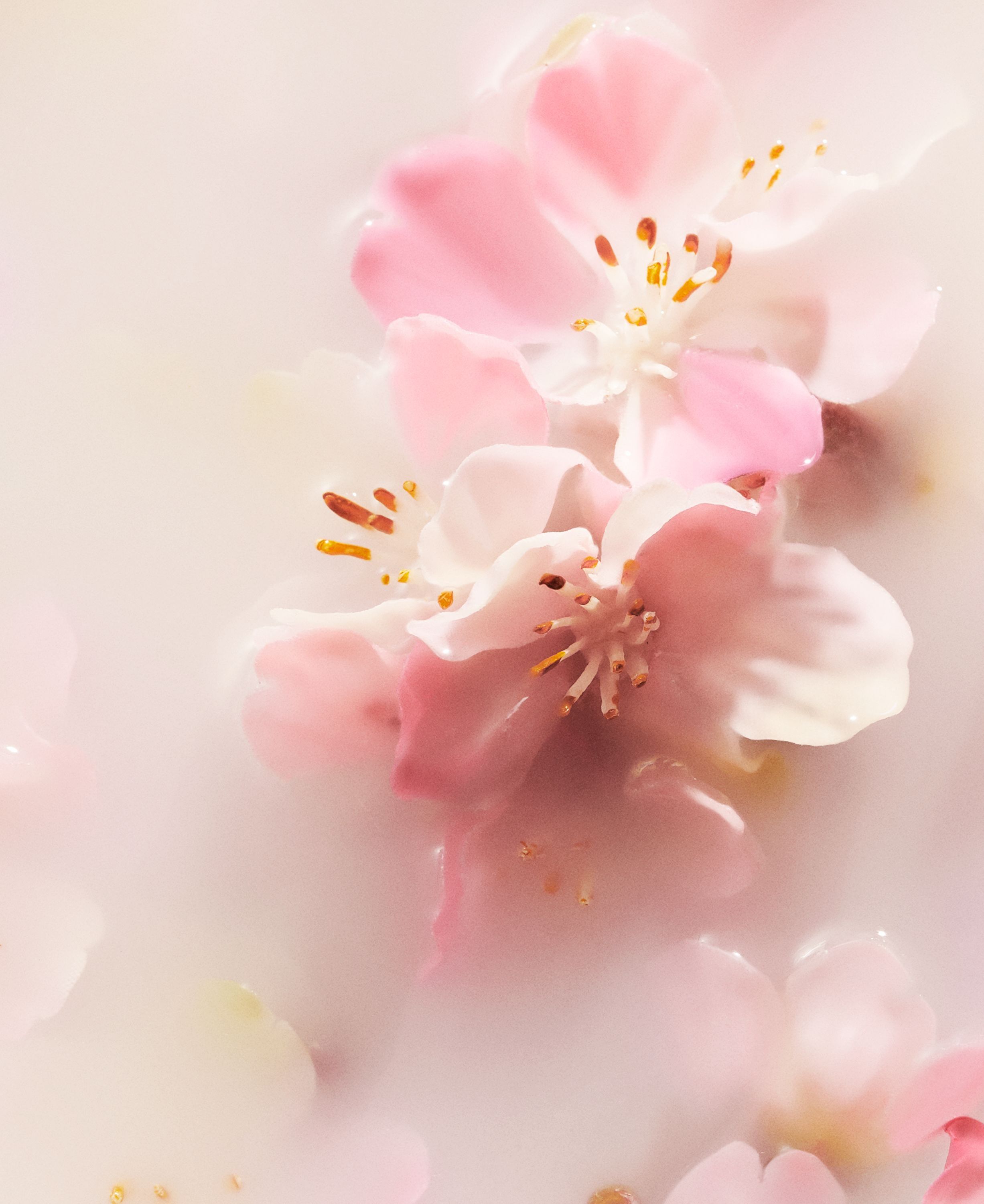 The Ritual of Sakura Body Lotion Mousse