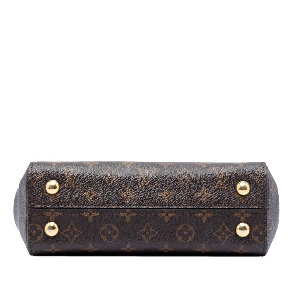 Louis Vuitton Cluny