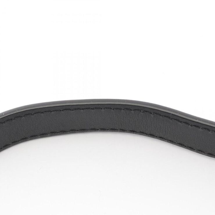 Louis Vuitton Danube