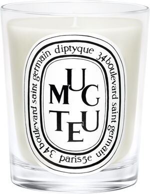 Standard candle Muguet 190 g