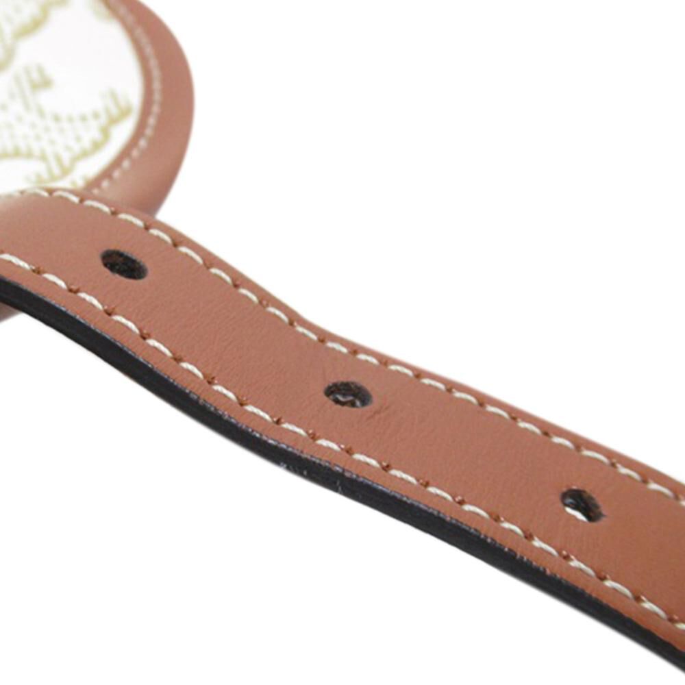 Celine Crossbody Bag