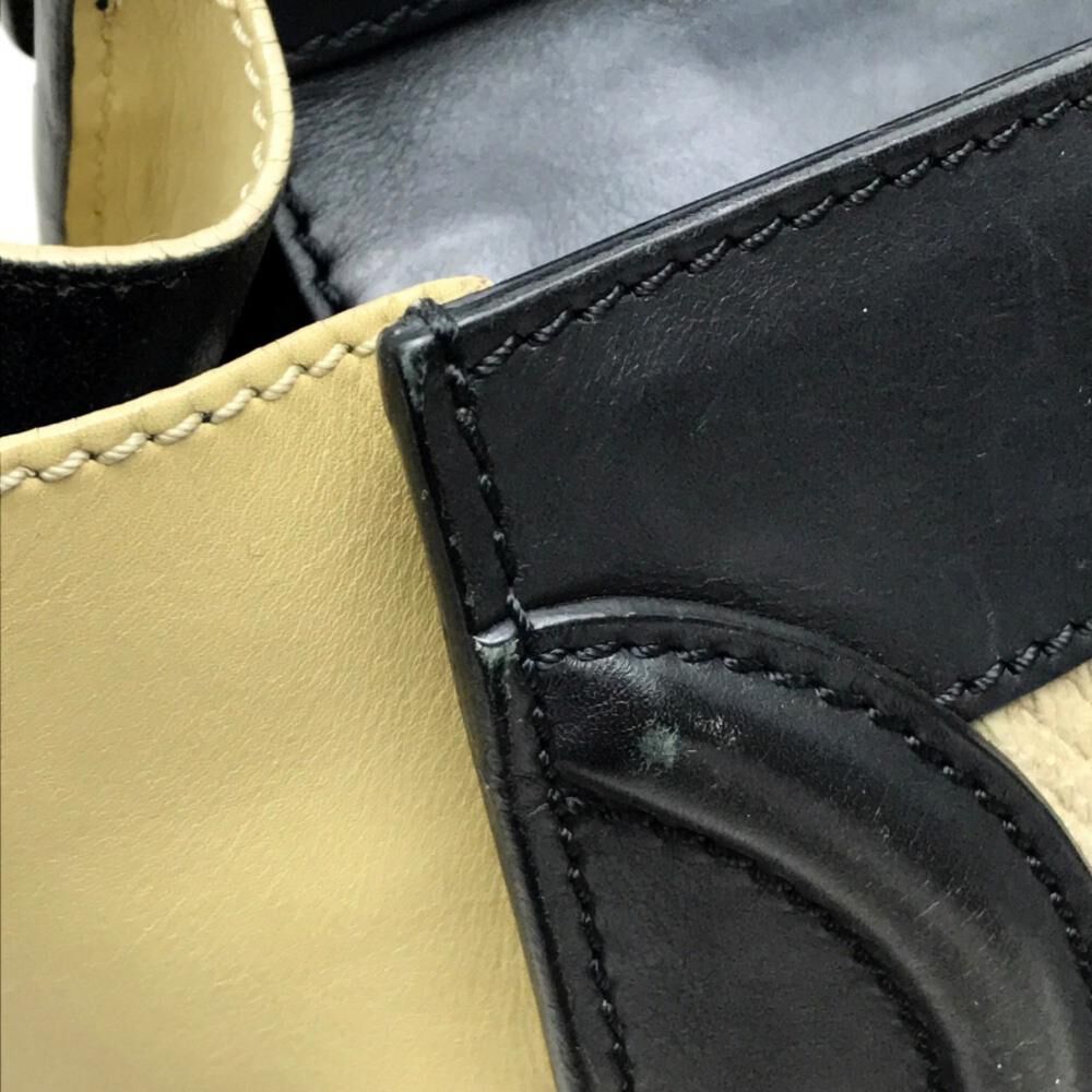 Celine Luggage