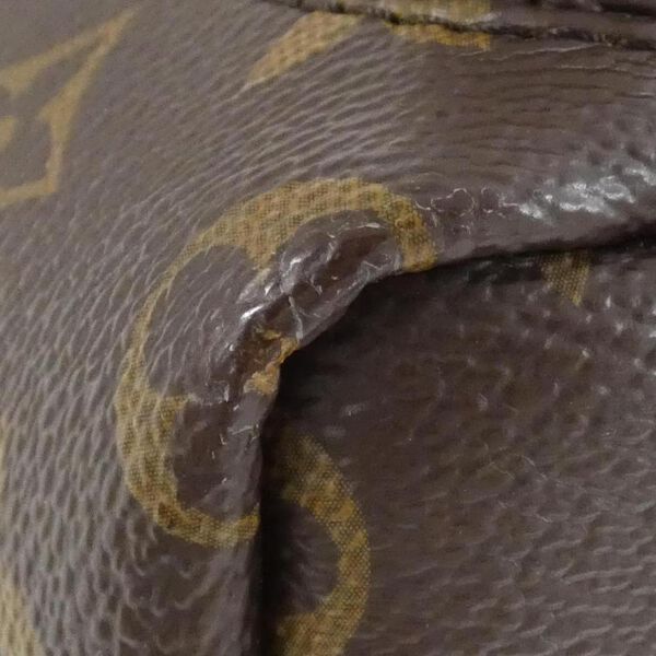 Louis Vuitton Palm Springs