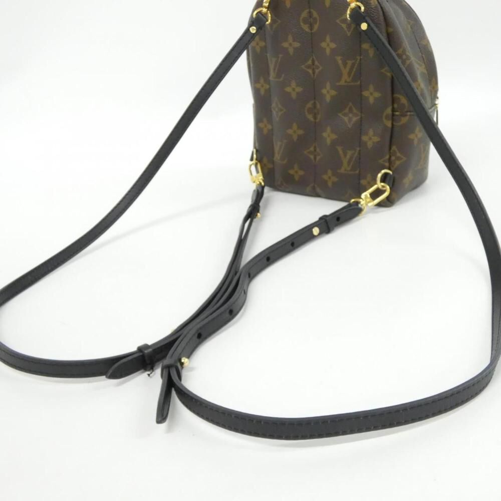Louis Vuitton Palm Springs