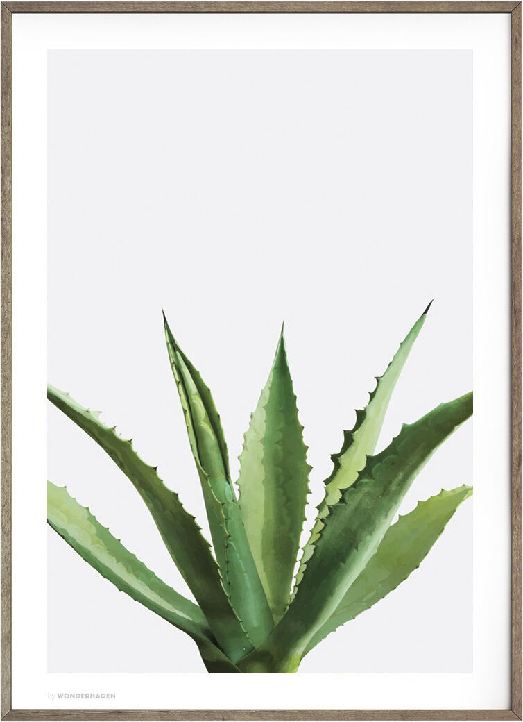 Wonderhagen - Agave plakat