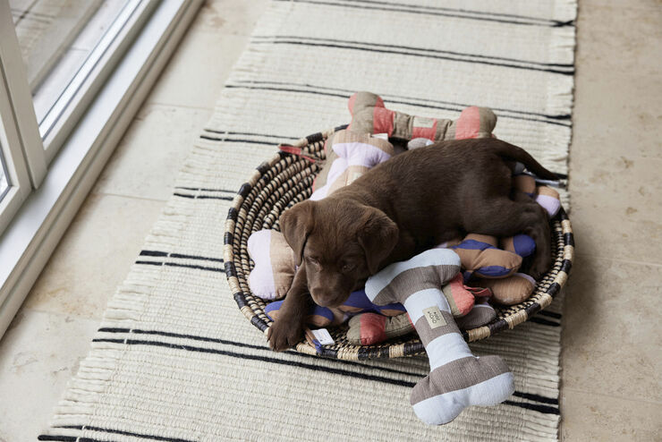 Ashi Hundelegetøj - Stor