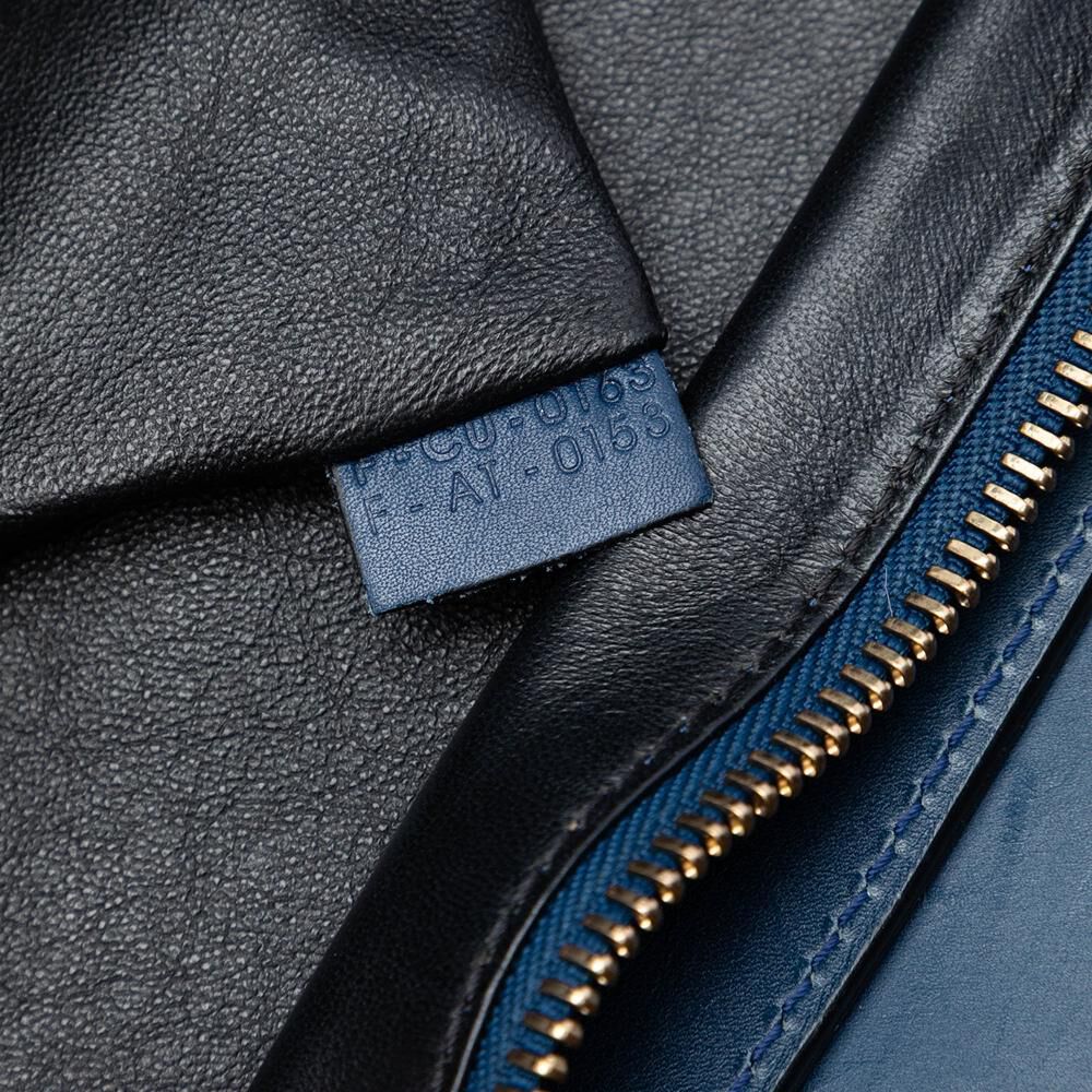 Celine Luggage