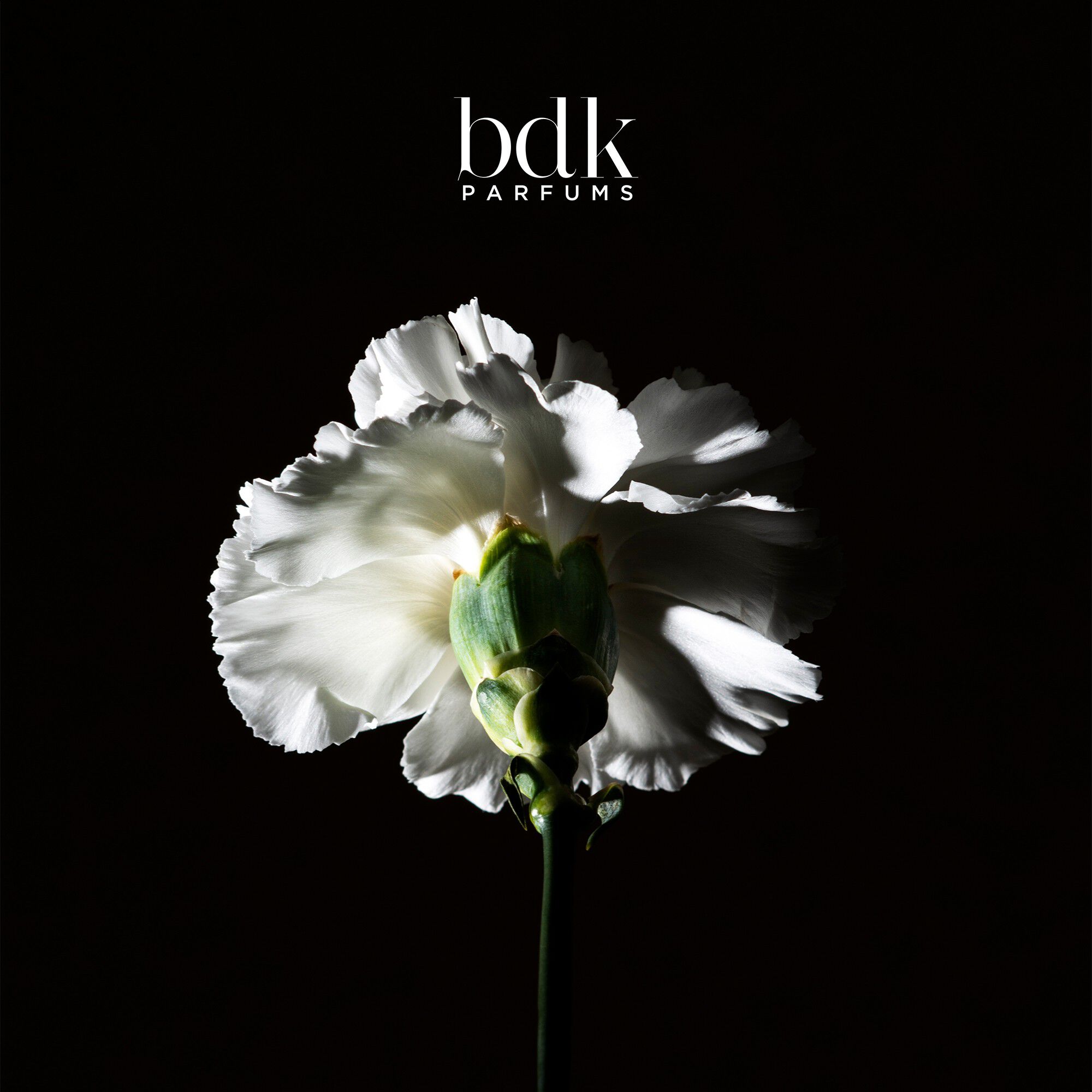 PAS CE SOIR - Eau de Parfum 100 ML