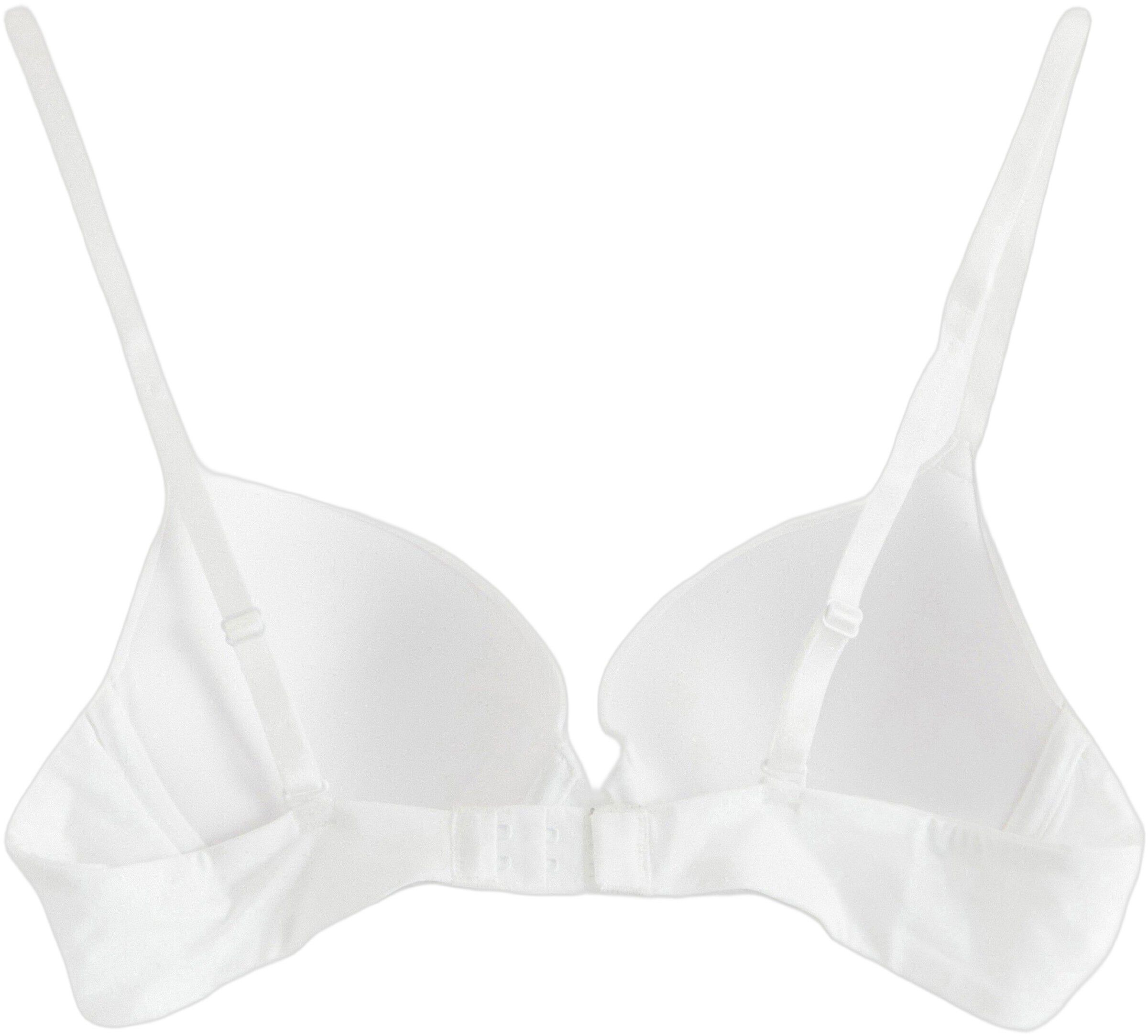 Malva push-up-bh