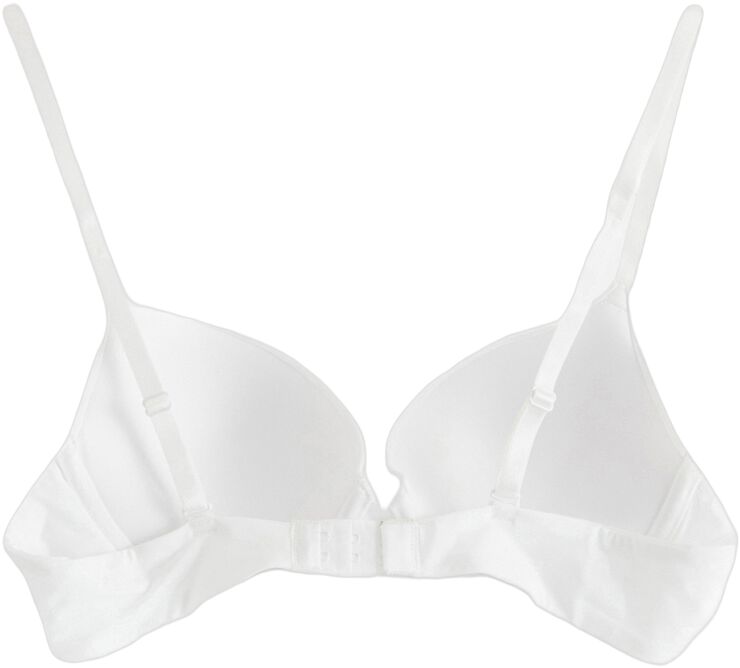 Malva push-up-bh