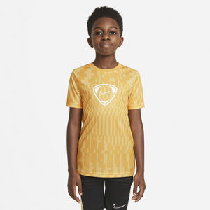 Dri Fit Academy T Shirt