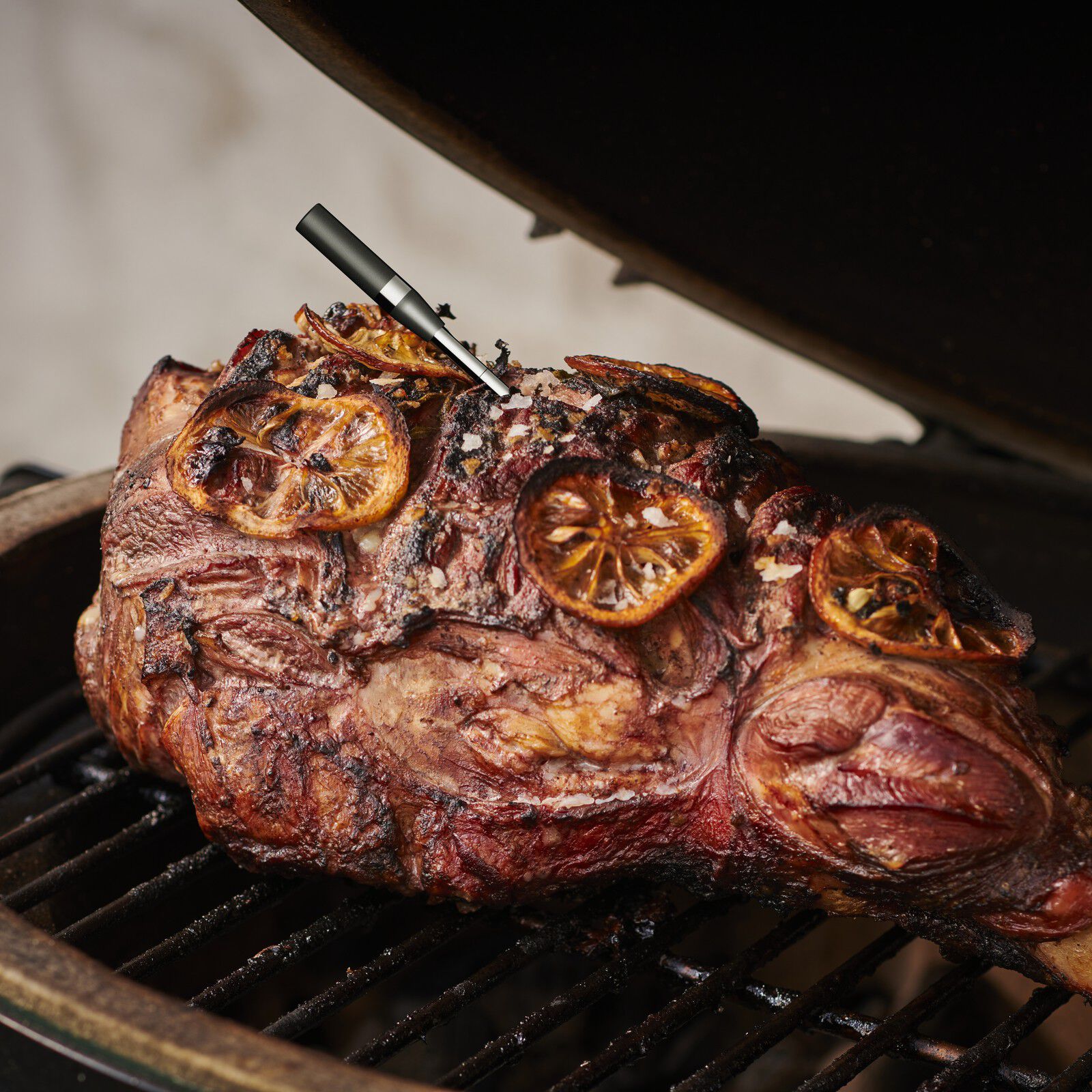 Witt CookPerfect Wireless Dual Frying thermometer Black