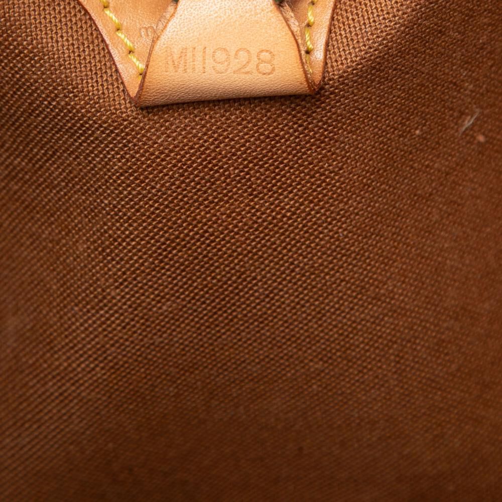 Louis Vuitton Ellipse
